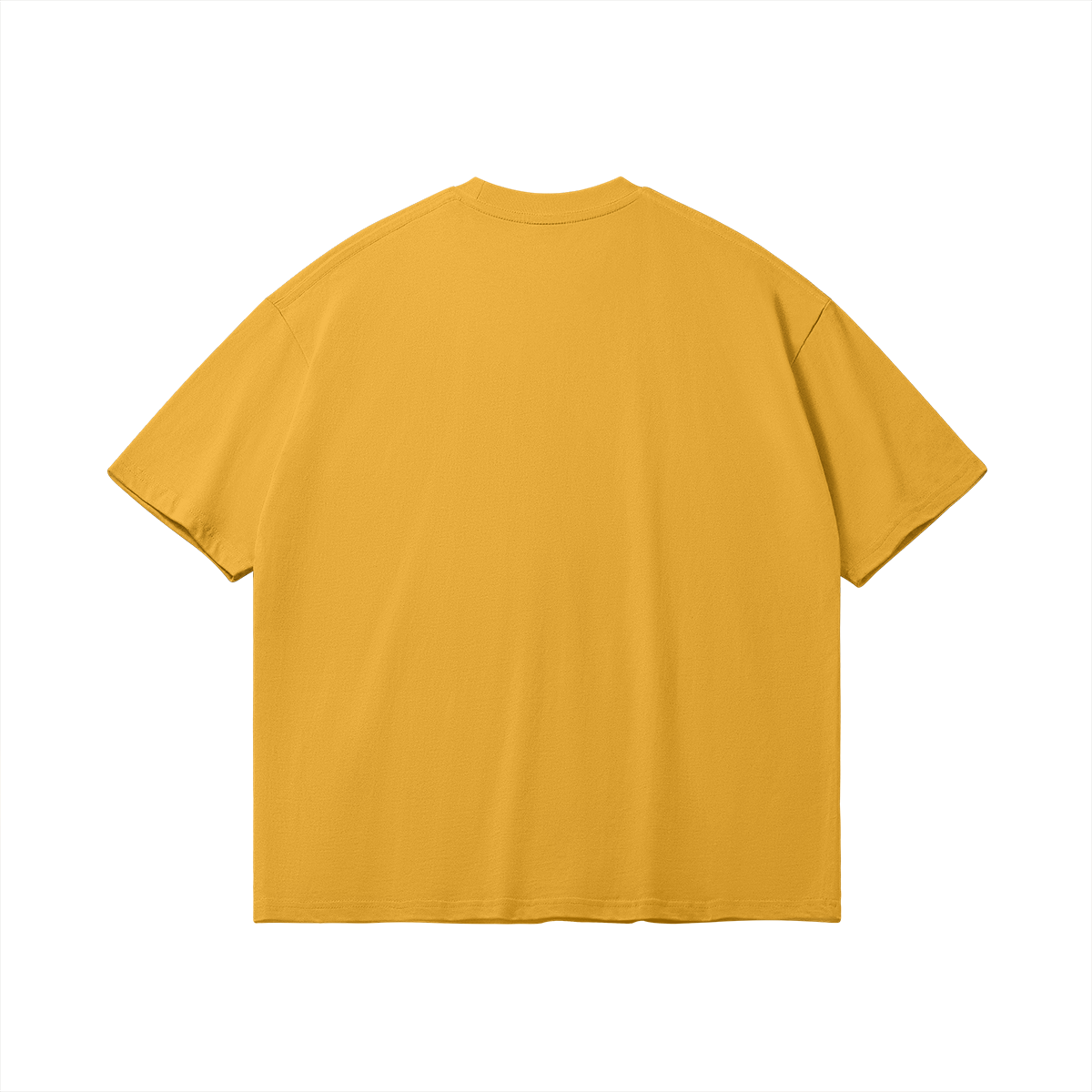 0-Y17-Back Side